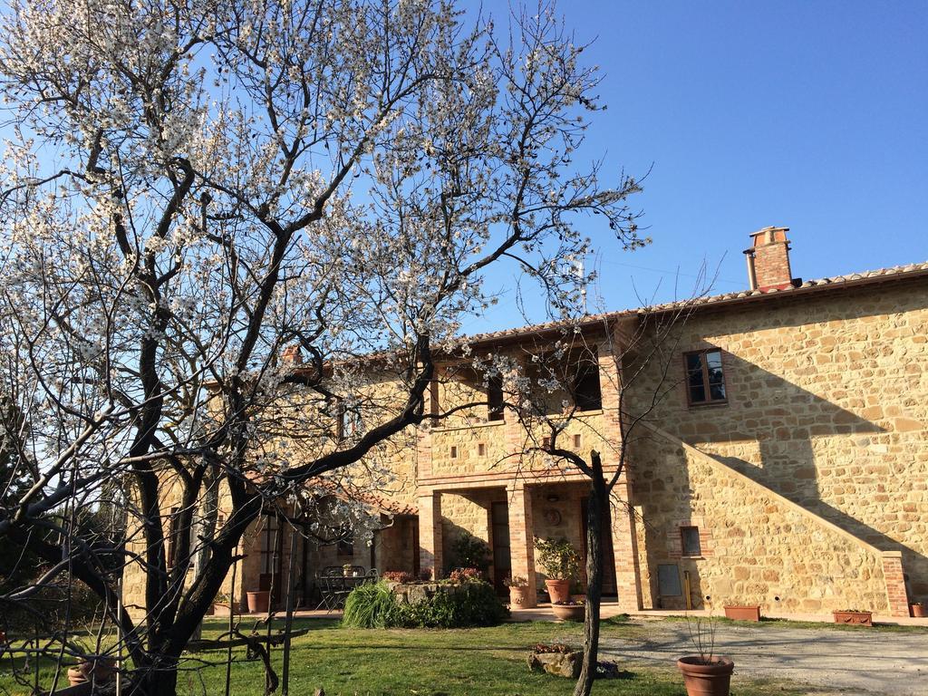 Agriturismo Podere San Gregorio Pienza Extérieur photo