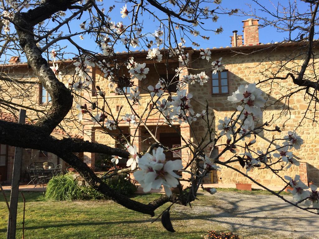 Agriturismo Podere San Gregorio Pienza Extérieur photo